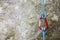Red carabiner with climbing rope on rocky background