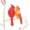 Red cardinal bird icon