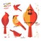 Red cardinal bird icon set