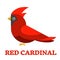 Red Cardinal Colorful Icon