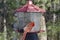 Red cardinal sitting on bird feeder with woods in back profile