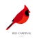 Red cardinal vector icon.