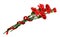 Red carnation flowers in a bouquet with twisted silk ribbon