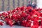 Red carnation flowers on a memorial marble board. Memorial to fallen soldiers in the world war II