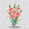 Red carnation schabaud flower, green stem, leaves on transparent background, collection for Mother s Day, victory day, digital dra