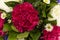 Red carnation and white aster bouquet
