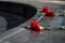 Red carnations on a black marble slab under the sun