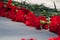 Red carnations on a gray granite