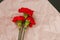 Red carnations on kravt paper and black background. Victory Day in Russia.
