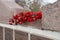 Red carnations lie on a granitic tombstone with the names of fallen soldiers in the Victory Memorial.
