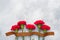 Red carnations and St. George ribbon on a concrete background. Symbol may 9, victory day Copy space