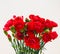 Red carnations in an Untidy Bunch