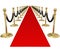 Red Carpet Gold Stanchions Exclusive VIP Party Event Invitation