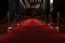 a red carpet leading to a grand entrance, such as a gala or award show