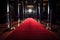 a red carpet leading to a grand entrance, such as a gala or award show