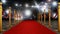 Red carpet and velvet ropes on gala night background. 3D illustration