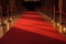 A red carpet for VIPs to an event