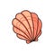 Red cartoon bivalve cockle clam atlantic seashell