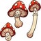 Red cartoon mushrooms