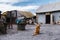 Red cat in a cattle yard in a village with old destroyed houses