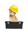 Red cat with helmet in toolbox