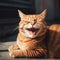 Red cat laughs, smiles, rejoices, close-up portrait, funny photos