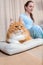 Red cat lies on a pillow on the floor next to his mistress. cat comes to a woman while she reads on the floor. Girl and cat are