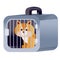 Red cat sits in a blue carrier and waits when it travels by plane or train, isolated object on a white background,