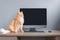 Red cat sits on a desktop against a computer background.