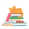 Red cat sleeping stack books on white background. Book library, education literature, knowledge concept. Reading relax