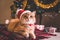 Red cat wears Santa`s hat lying under Christmas tree. Christmas and New year concept