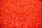 Red caviar, abstract background. Lots of eggs