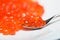 Red caviar grains on a silver spoon