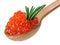 Red caviar heap in wooden spoon with rosemary
