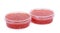Red caviar in plastic container