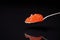 Red caviar in a spoon on a dark background with reflection below. Caviar, seafood, Shrovetide. Russian traditional food