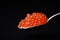 Red caviar in a spoon on a dark background with reflection below. Caviar, seafood, Shrovetide. Russian traditional food