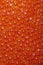 Red caviar studio photo. Caviar texture pattern background food closeup wallpaper. Healthy sea food. Orange or red luxury caviar a