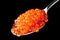 Red caviar in teaspoon isolated on black