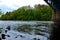 Red Cedar River under bridge in spring