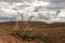 Red center in the Australian desert, outback in Northern Territory, Australia