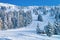 Red Chair lifts and forest at Zillertal Arena Tyrol Austria