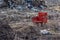 Red chair in village damp