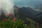 Red champion flowers and grass in the foreground and mountains out of focus in the background