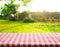 Red checkered tablecloth texture top with view garden, fence