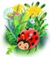 red cheerful ladybug in the grass with flowers and dandelions- childrens illustration