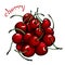 Red cherries.