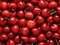 Red cherries. Cherry background. AI generated