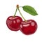 Red Cherries Illustration. red cherry isolated on white background.