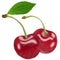 Red Cherries painting stye Illustration. cherry isolated on white background.